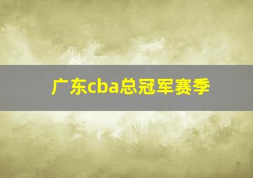 广东cba总冠军赛季