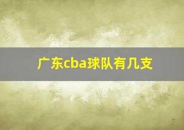 广东cba球队有几支