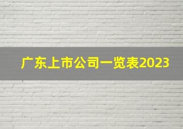 广东上市公司一览表2023