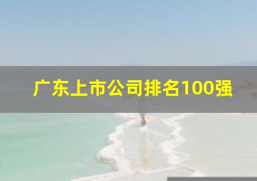 广东上市公司排名100强