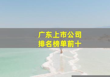 广东上市公司排名榜单前十