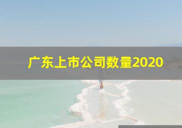 广东上市公司数量2020