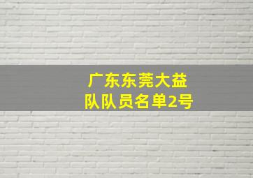 广东东莞大益队队员名单2号