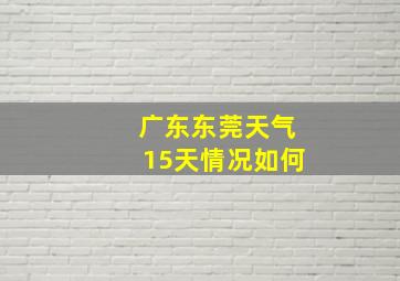 广东东莞天气15天情况如何