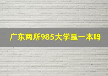 广东两所985大学是一本吗