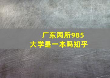 广东两所985大学是一本吗知乎