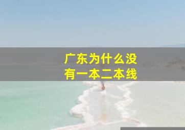 广东为什么没有一本二本线