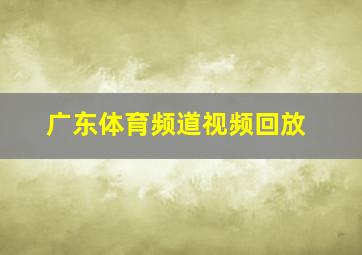 广东体育频道视频回放