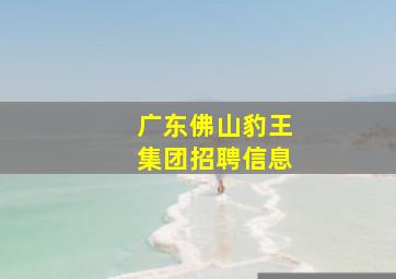 广东佛山豹王集团招聘信息