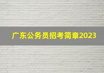 广东公务员招考简章2023