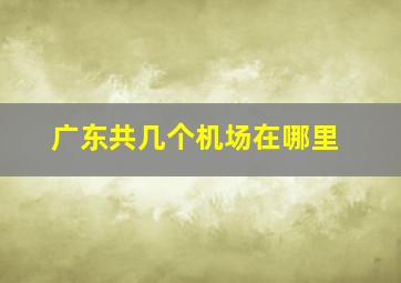 广东共几个机场在哪里