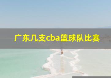 广东几支cba篮球队比赛