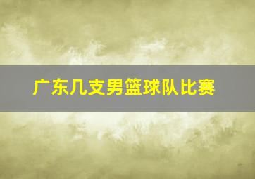 广东几支男篮球队比赛