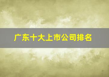 广东十大上市公司排名