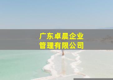 广东卓晨企业管理有限公司