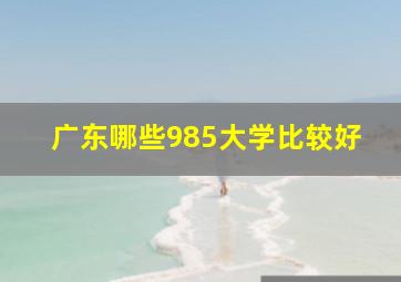 广东哪些985大学比较好