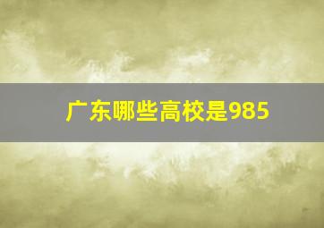 广东哪些高校是985