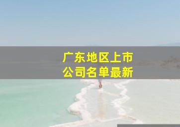 广东地区上市公司名单最新