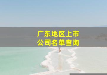 广东地区上市公司名单查询