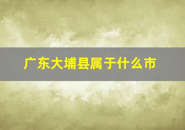 广东大埔县属于什么市