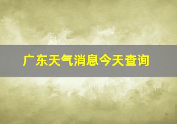 广东天气消息今天查询