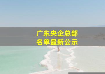 广东央企总部名单最新公示