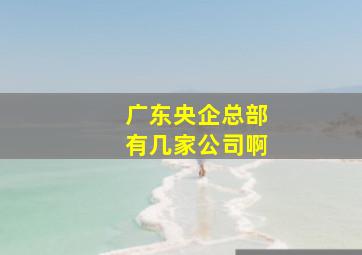 广东央企总部有几家公司啊