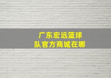 广东宏远篮球队官方商城在哪