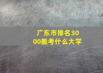 广东市排名3000能考什么大学