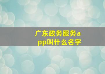 广东政务服务app叫什么名字