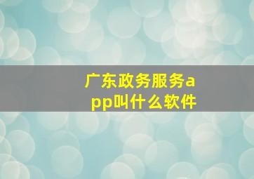 广东政务服务app叫什么软件