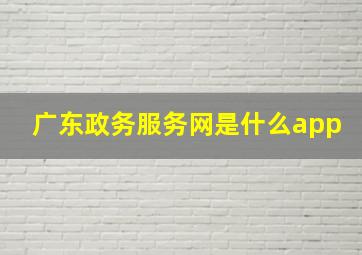 广东政务服务网是什么app