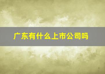 广东有什么上市公司吗