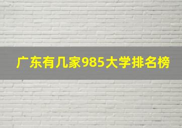 广东有几家985大学排名榜