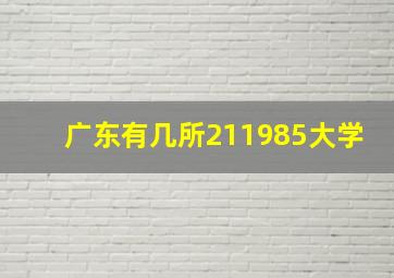 广东有几所211985大学