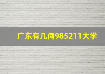 广东有几间985211大学