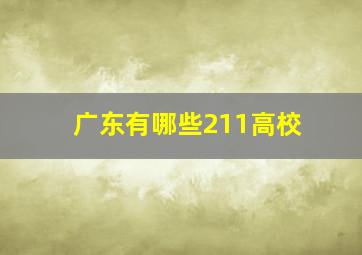 广东有哪些211高校