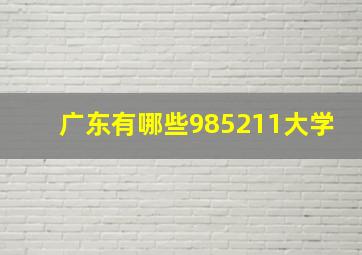 广东有哪些985211大学