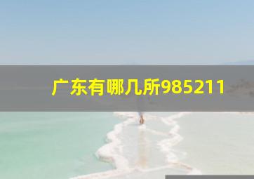 广东有哪几所985211