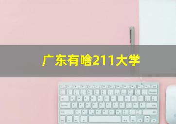 广东有啥211大学