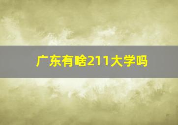 广东有啥211大学吗