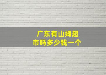 广东有山姆超市吗多少钱一个