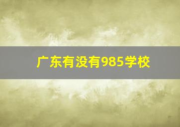 广东有没有985学校