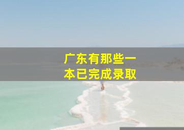 广东有那些一本已完成录取