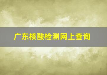 广东核酸检测网上查询