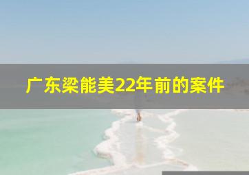 广东梁能美22年前的案件