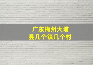 广东梅州大埔县几个镇几个村