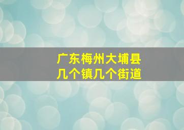 广东梅州大埔县几个镇几个街道