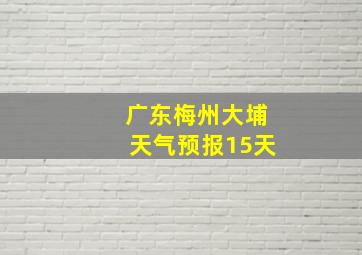 广东梅州大埔天气预报15天