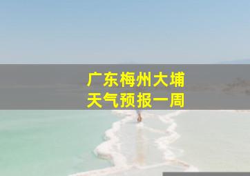 广东梅州大埔天气预报一周